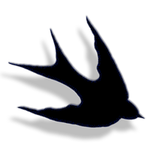 swallow