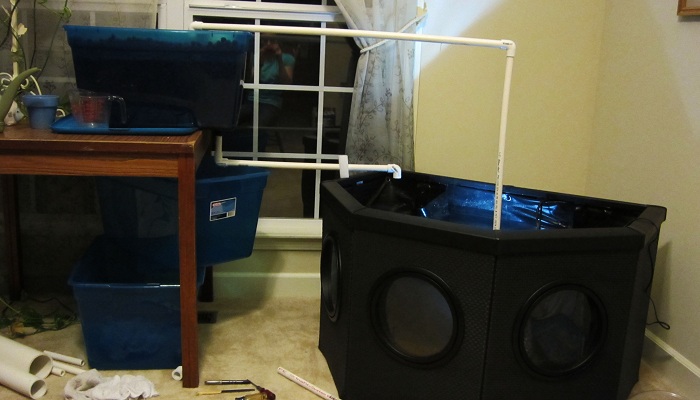 Setup